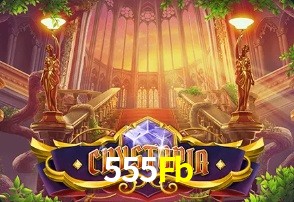  555Fb