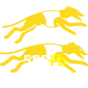  555Fb